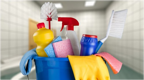 Carpet cleaning technician preparing equipment before a service appointment