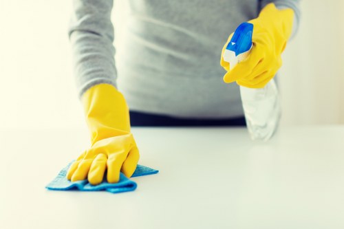Enzyme treatment for pet stain odour removal on carpets