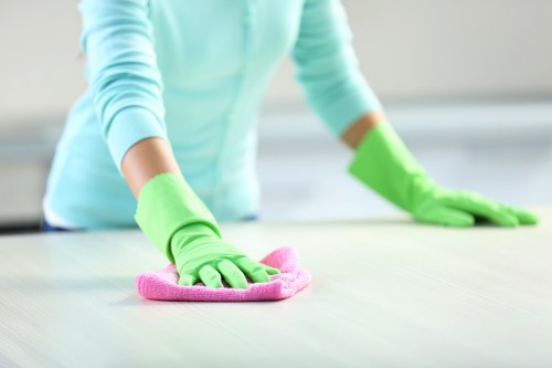 Deep cleaning upholstery affected by pet odours in Colney Hatch