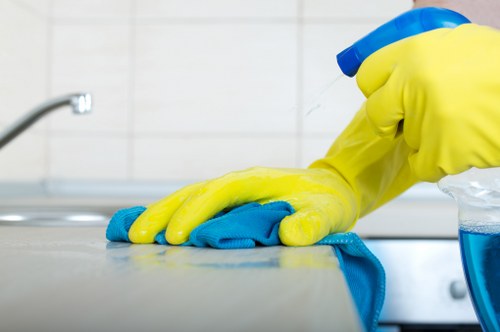 Local carpet cleaners assessing and refreshing a carpet with attention to detail
