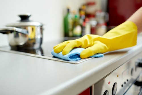 Sustainable carpet cleaning team with eco-friendly van