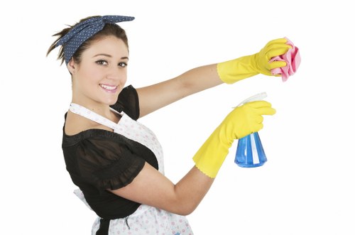 Stain removal and deep cleaning service for rugs in Colney Hatch