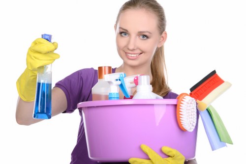Reviewing a carpet cleaning complaint with service notes