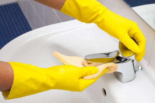 Professional stain removal for carpets and sofas in Colney Hatch